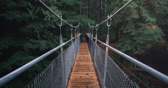 Outdoor Transformation - First Perspective Photography of Hanging Bridge